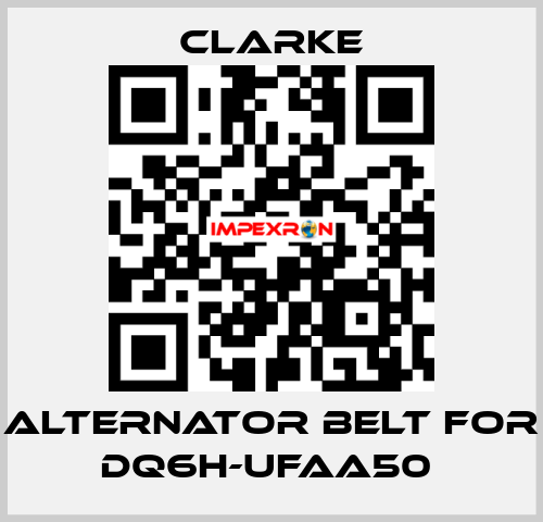 Alternator Belt for DQ6H-UFAA50  Clarke