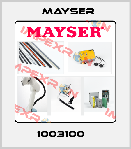 1003100    Mayser