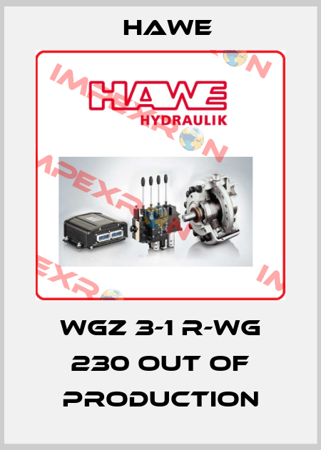 WGZ 3-1 R-WG 230 out of production Hawe