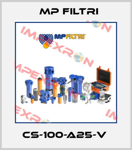 CS-100-A25-V  MP Filtri