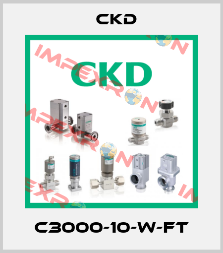 C3000-10-W-FT Ckd