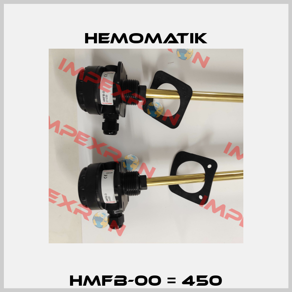 HMFB-00 = 450 Hemomatik