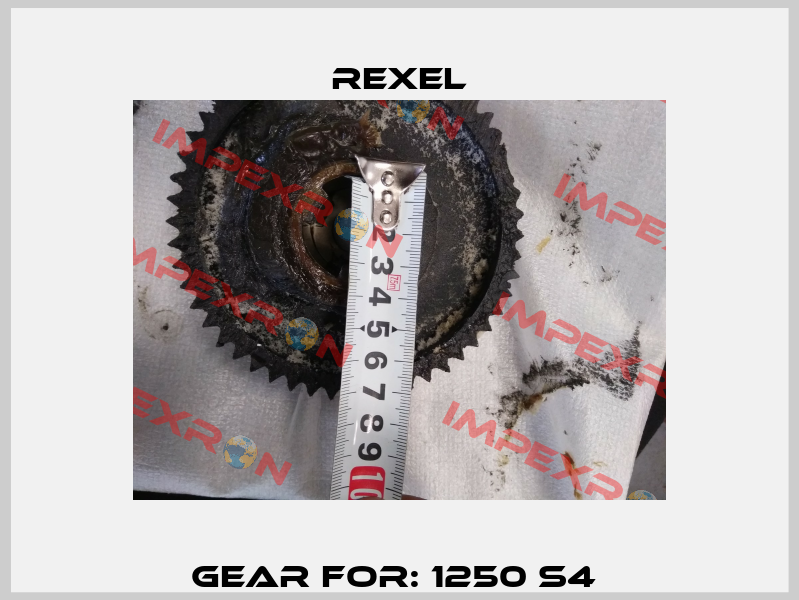 Gear For: 1250 S4  Rexel