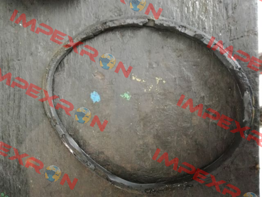 O-ring for Serial n. CF 0010373   Tecofi