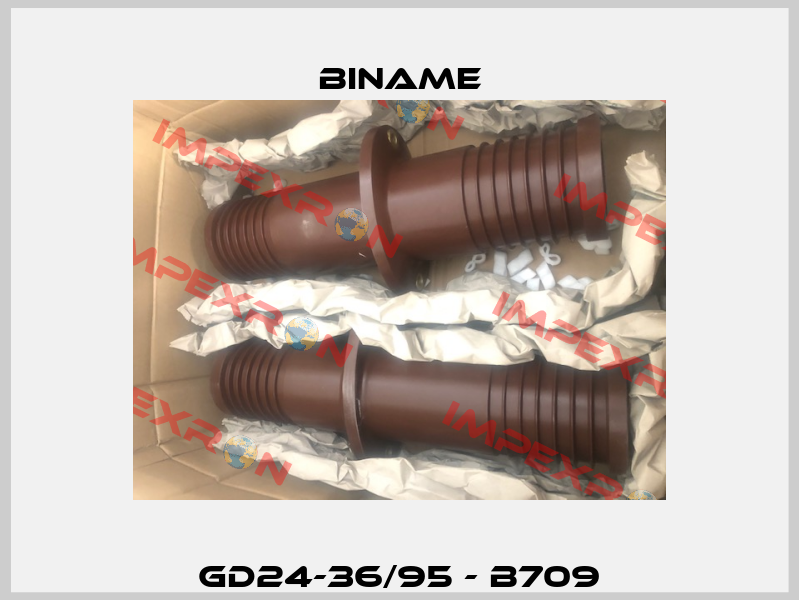 GD24-36/95 - B709 BINAME