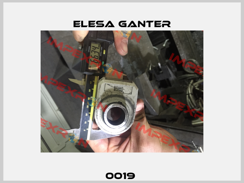 0019  Elesa Ganter