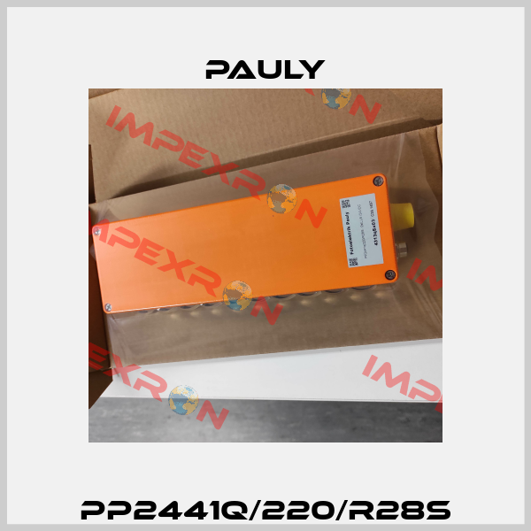 PP2441q/220/R28S Pauly