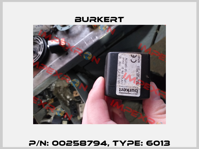 p/n: 00258794, Type: 6013 Burkert