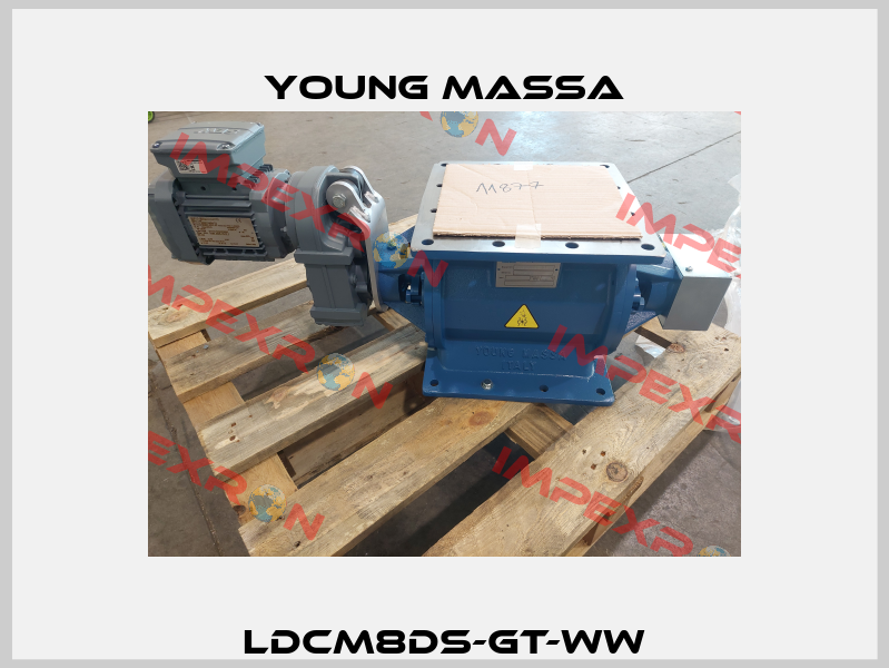 LDCM8DS-GT-WW Young Massa