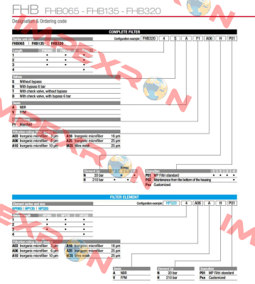 FHB-135-2-B-A-F1-A10-N-P01 MP Filtri